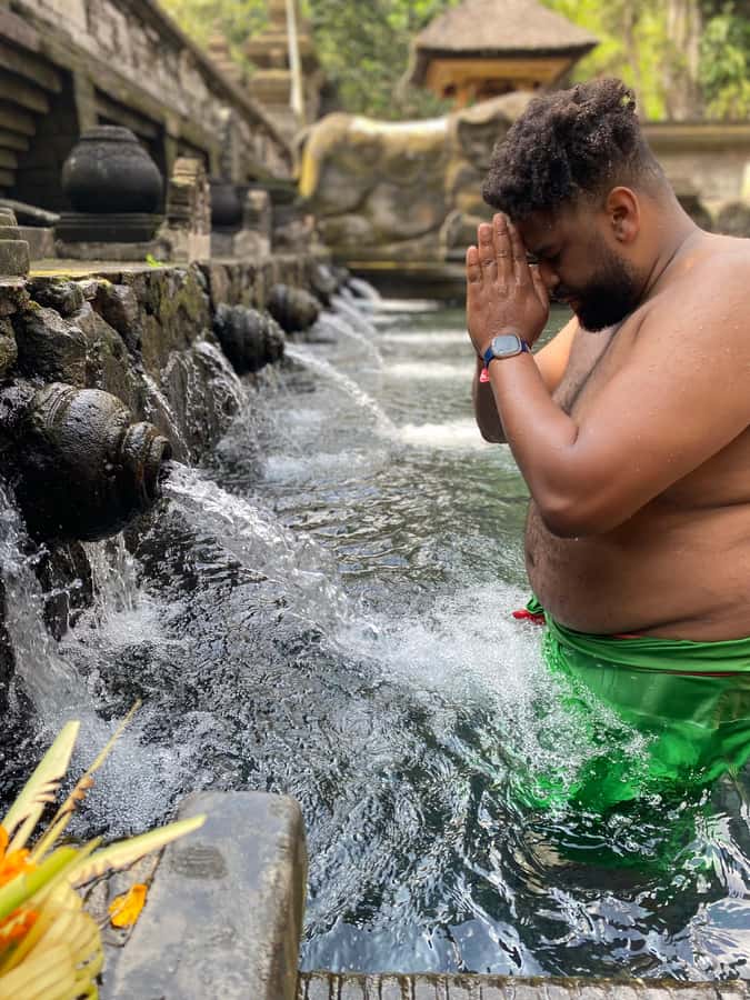 Monkey Forest, Waterfall ,Temple and Rice Terrace - Sacred Monkey Forest: the liveliest stop of the route