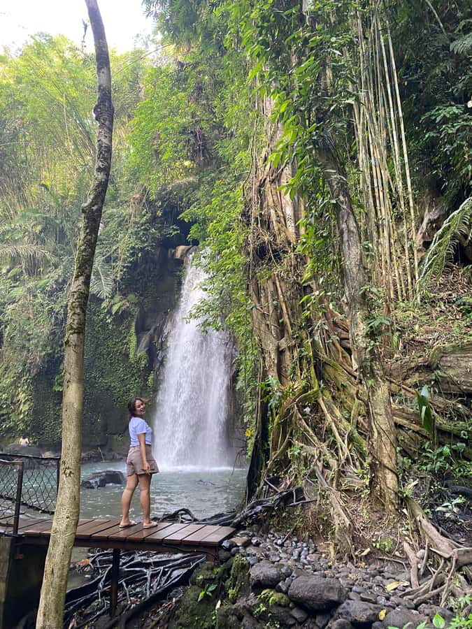 Monkey Forest, Waterfall ,Temple and Rice Terrace - Why the private vehicle matters