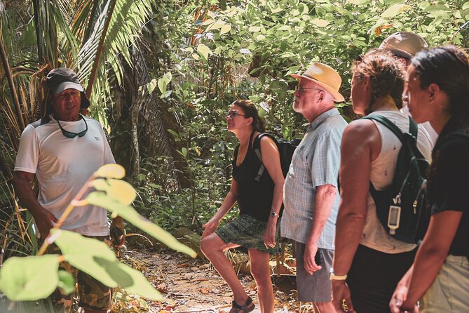 Monkey River Wildlife Encounters and Manatee Watch - Howler monkeys and the sound of the jungle