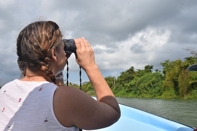 Monkey River Wildlife Encounters and Manatee Watch - Upriver by boat, then into the forest