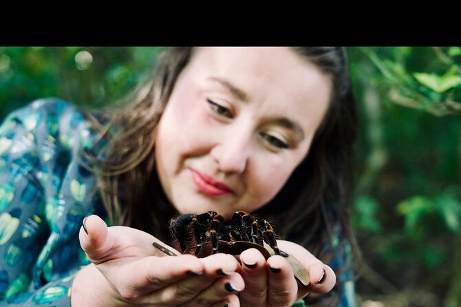 Monteverde Butterfly Gardens Tour - Small details that improve the visit
