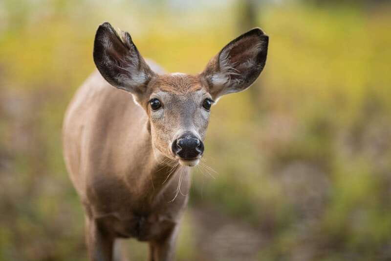 Montreal: Ecomuseum Zoo Entry Ticket - Choosing the Right Season