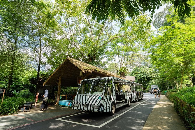 Morning at the Zoo with 1-way Transfer (Free & Easy) - What this Singapore Zoo morning tour really includes