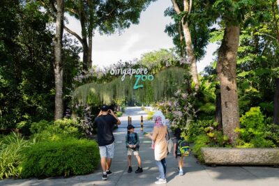 Morning at the Zoo with 1-way Transfer (Free & Easy)