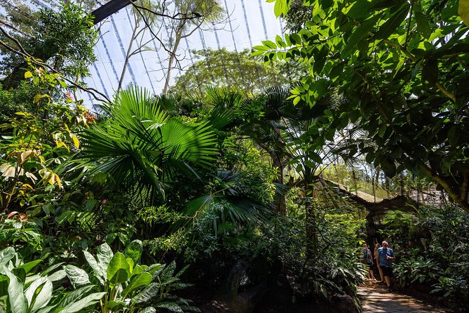 Morning at the Zoo with 1-way Transfer (Free & Easy) - What you can see beyond the tram