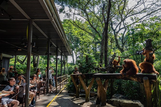 Morning at the Zoo with 1-way Transfer (Free & Easy) - How much zoo time will you really get?