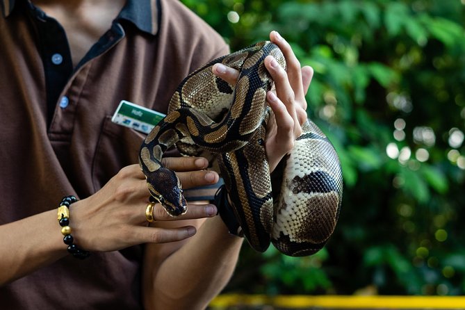 Morning at the Zoo with 1-way Transfer (Free & Easy) - Who will get the most from this experience?