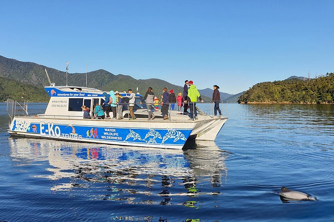 Motuara Wildlife Sanctuary Tour and Dolphin Cruise from Picton - Leaving Picton for Queen Charlotte Sound