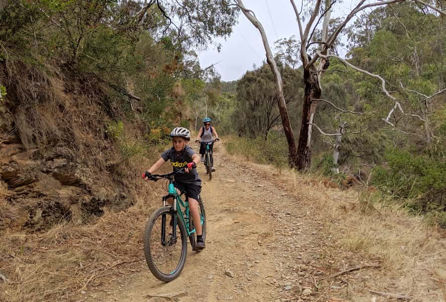 Mount Lofty Downhill Bike Tour & Cleland Wildlife Park Visit - From Mount Lofty summit to Adelaide streets