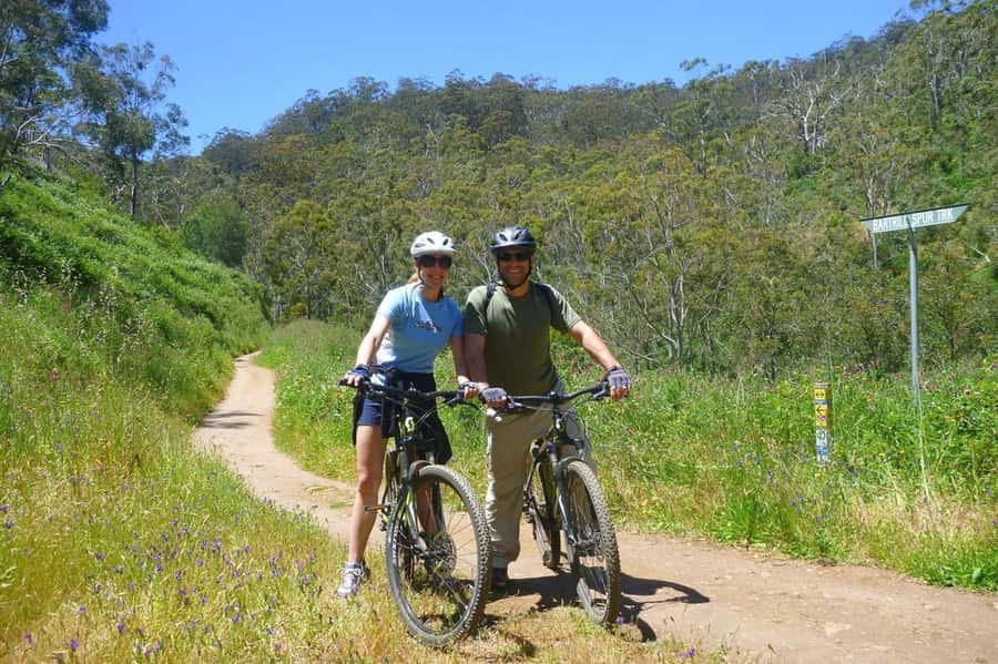Mount Lofty Downhill Bike Tour & Cleland Wildlife Park Visit - Group size, schedule, and meeting arrangements