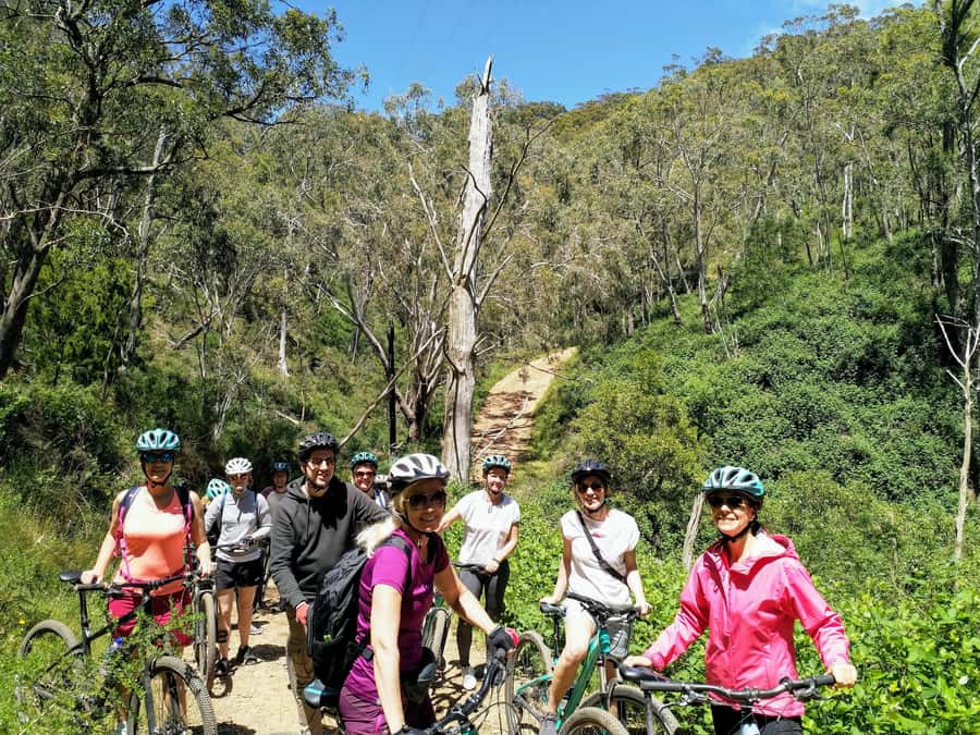 Mount Lofty Downhill Bike Tour & Cleland Wildlife Park Visit - What the tour includes, and what it does not