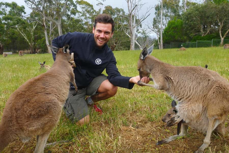 Mount Lofty Downhill Bike Tour & Cleland Wildlife Park Visit - Who should book this Adelaide bike tour?
