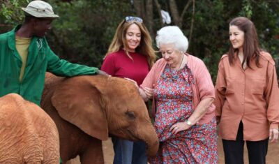 Nairobi: Elephant Sanctuary and Giraffe Center Day Tour