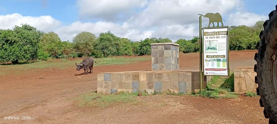 Nairobi: National Park, Elephant Sanctuary, & Giraffe Center - What the $35 price really means