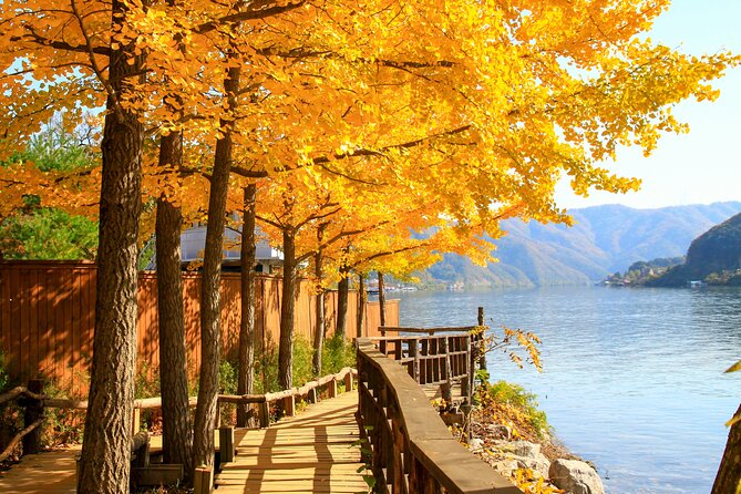 Nami Island and Begonia Bird Park Tour from Seoul (opt Railbike) - How the group format affects your day