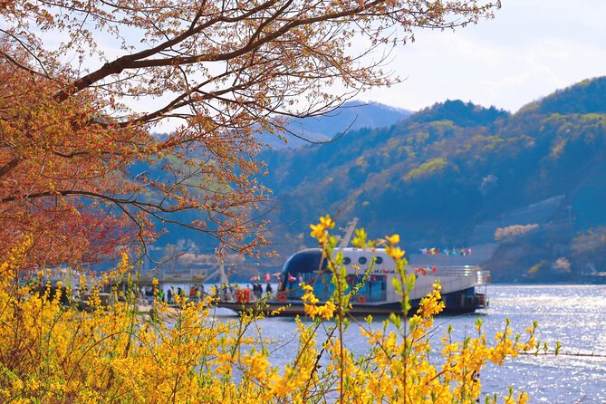 Nami Island and Begonia Bird Park Tour from Seoul (opt Railbike) - Timing, weather, and practical planning