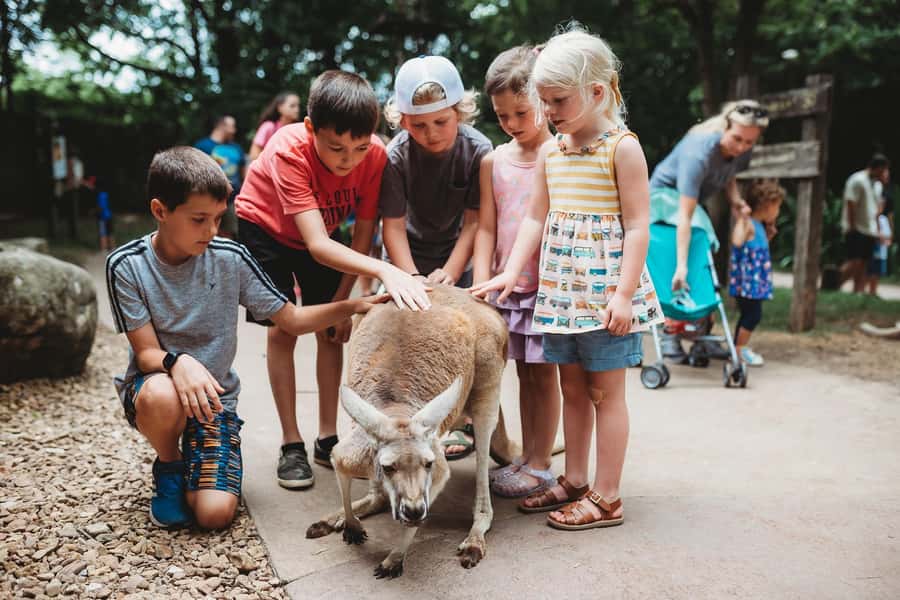 Nashville Zoo: Any-Day Admission Ticket - Entering with an any-day ticket