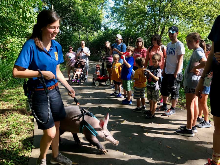 Nashville Zoo: Any-Day Admission Ticket - Should you book Nashville Zoo?