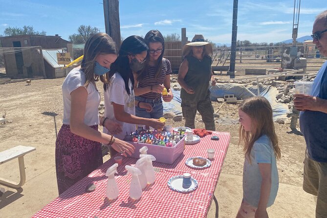 Nature Health Farms Alpaca Farm Petting Zoo Pahrump Death Valley - A Mixed Animal Collection in Pahrump