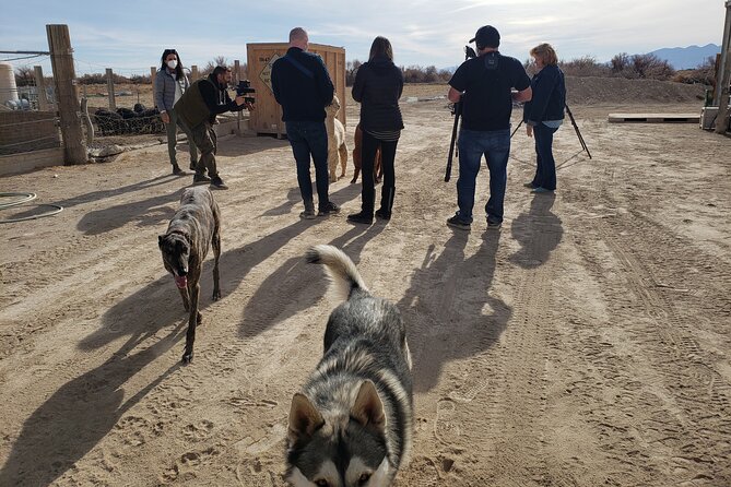 Nature Health Farms Alpaca Farm Petting Zoo Pahrump Death Valley - Booking, Weather, and Cancellation Details