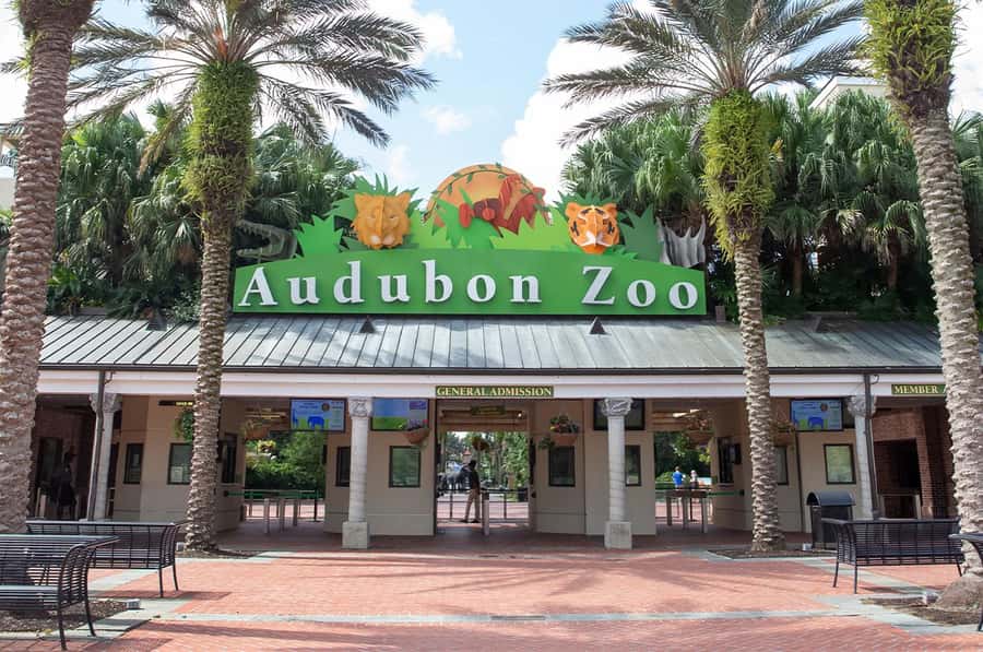 New Orleans: Audubon Zoo or Combo Ticket - Key points to know before you go