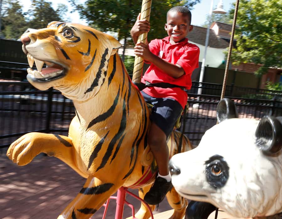 New Orleans: Audubon Zoo or Combo Ticket - Timing, heat, and the one-entry rule