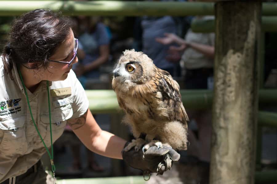 New Orleans: Audubon Zoo or Combo Ticket - Watoto Farm adds a hands-on change of pace