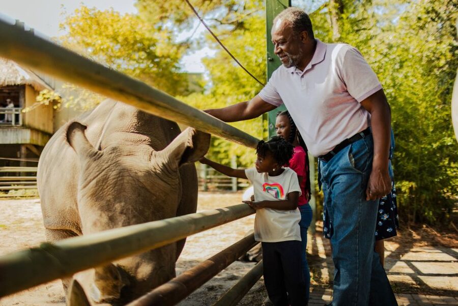 Norfolk: Virginia Zoo & Battleship Wisconsin Combo Ticket - Timing, weather, and simple planning tips