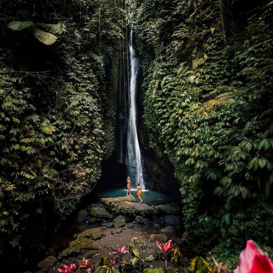 North Bali: Monkey Forest -Waterfall- Rice Terrace-Ulun Danu - Leke Leke Waterfall and the one-hour stop