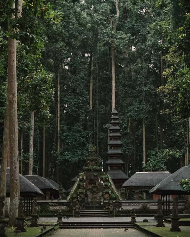 North Bali: Monkey Forest -Waterfall- Rice Terrace-Ulun Danu - Practical ways to make the day better