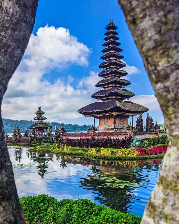North Bali: Ulun Danu, Waterfalls, Swing and Monkey Forest - Lunch is flexible, but not included
