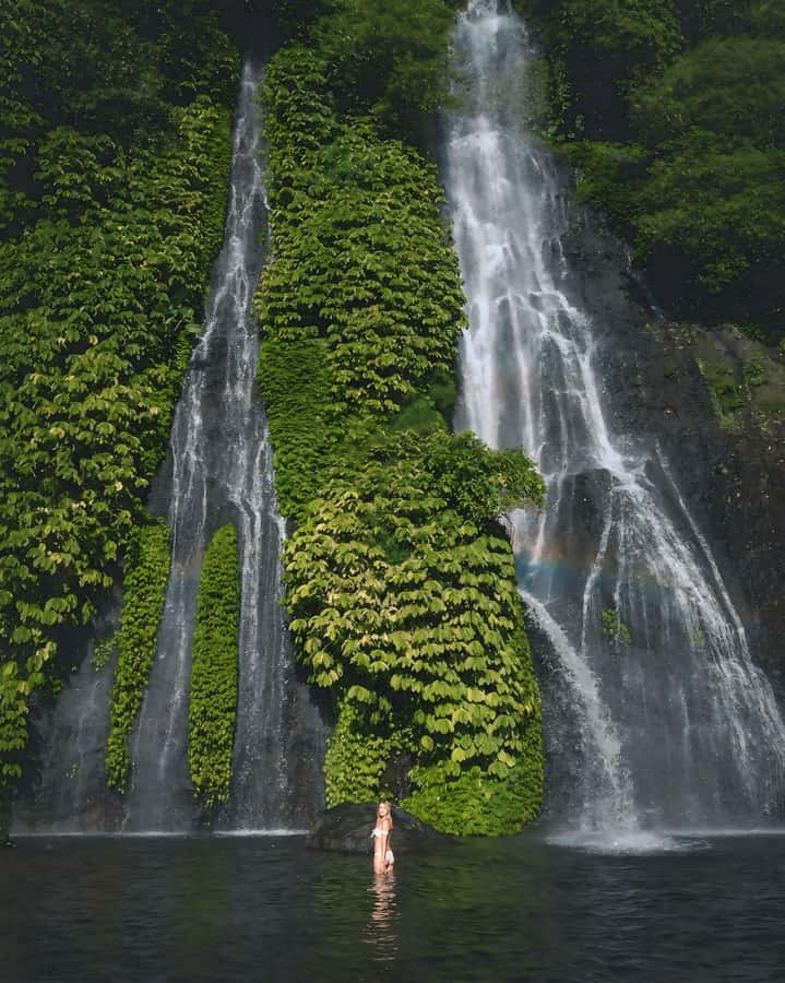 North Bali: Ulun Danu, Waterfalls, Swing and Monkey Forest - The value of a private guide