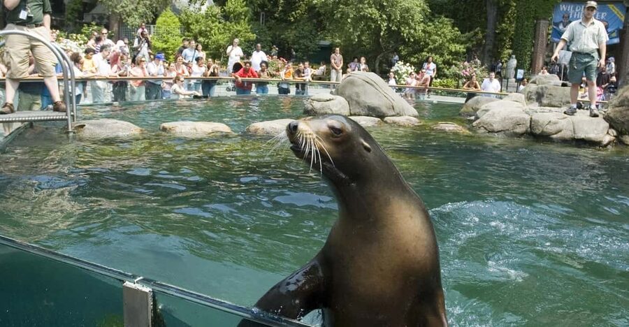 NYC: Central Park Zoo Entry Ticket & Manhattan Walking Tour - Who will enjoy this combination?