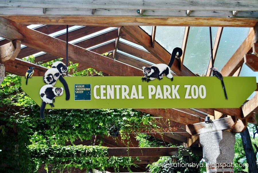 NYC: Central Park Zoo Entry Ticket & Manhattan Walking Tour - Five hours requires sensible planning