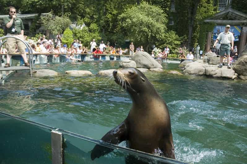 NYC: Central Park Zoo Entry Ticket & Manhattan Walking Tour - Ground Zero and the 9/11 Memorial Pools
