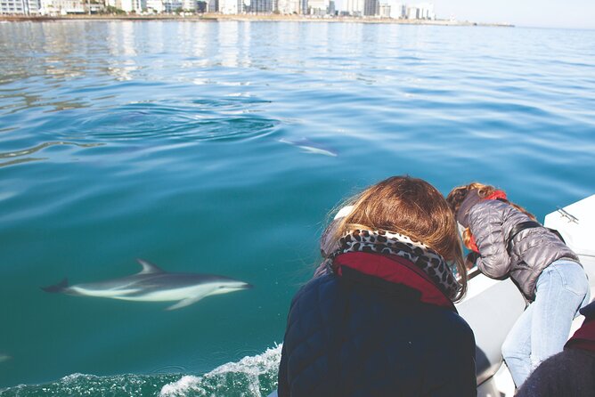 Ocean Wildlife Encounter in Cape Town - Why the route changes each day