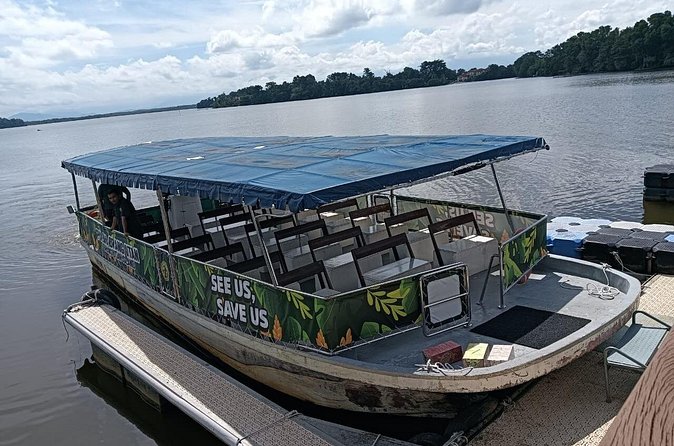 Orangutan Island, A Responsible Wildlife Sanctuary Experience - Responsible photography without disturbing the animals