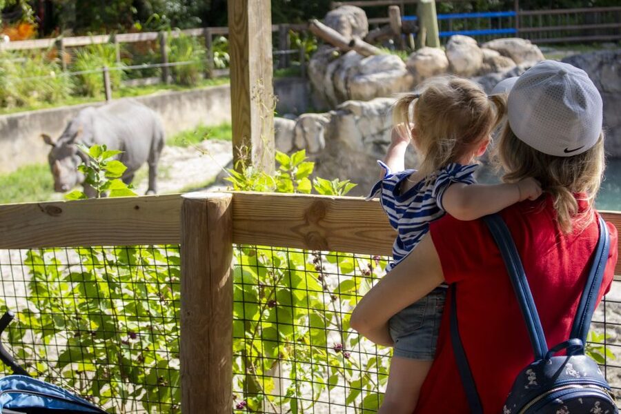 Orlando: Central Florida Zoo Skip-the-Line Ticket - Animal habitats along shaded paths