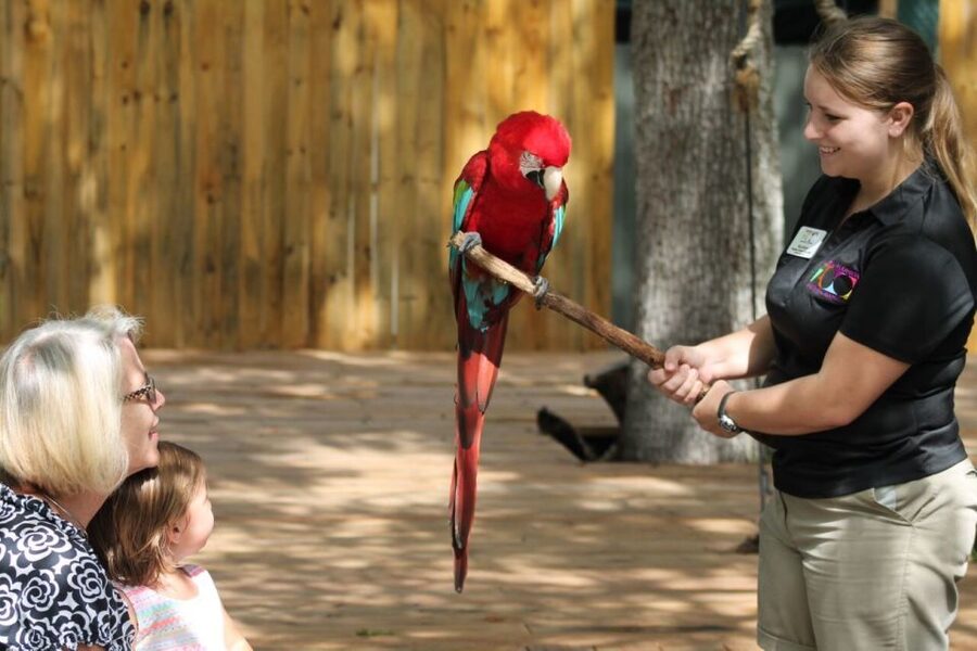 Orlando: Central Florida Zoo Skip-the-Line Ticket - Giraffe feeding and other paid add-ons