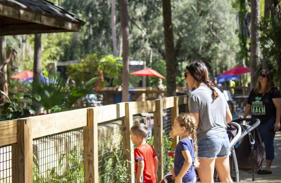 Orlando: Central Florida Zoo Skip-the-Line Ticket - Herpetarium: snakes, amphibians, and small creatures