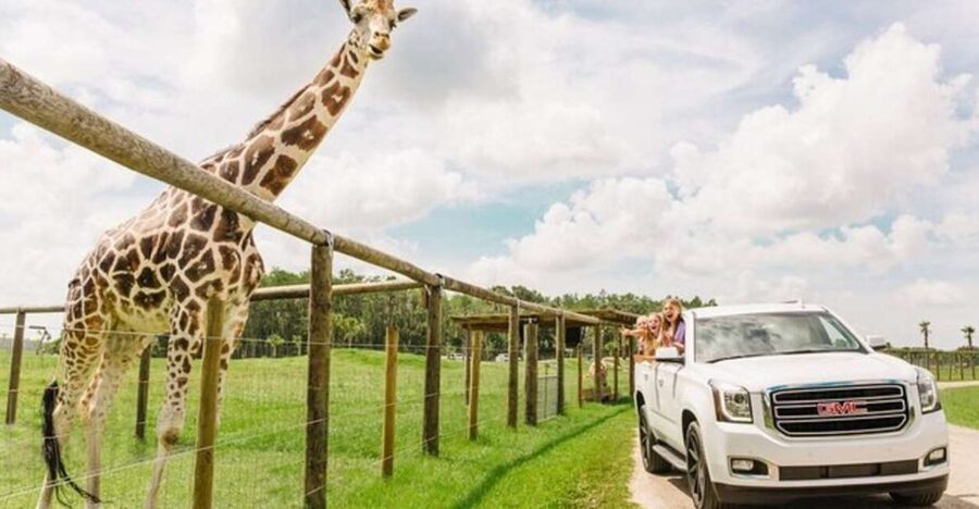 Orlando: Drive-Thru Safari Park at Wild Florida - Why the slow pace improves the experience