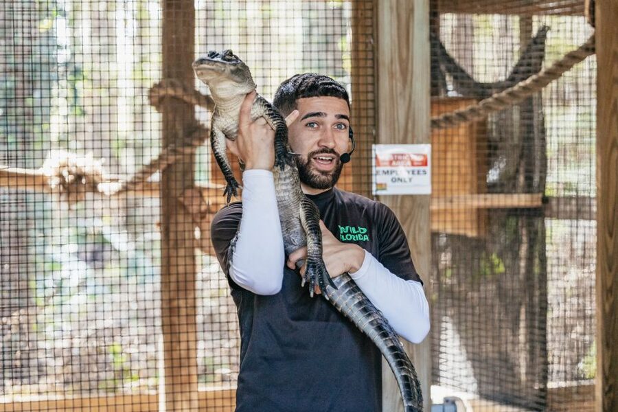 Orlando: Drive-Thru Safari Park at Wild Florida - Gator Park adds a second kind of visit
