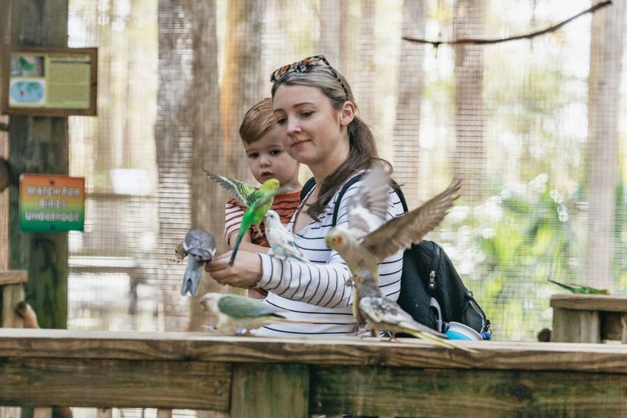 Orlando: Drive-Thru Safari Park at Wild Florida - Who will enjoy Wild Florida most?