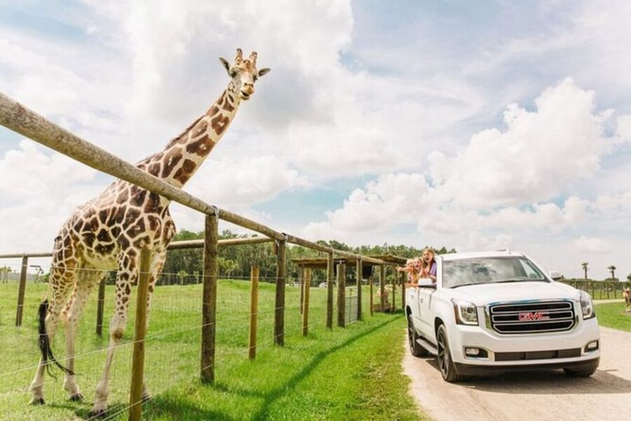 Orlando: Drive-Thru Safari Park at Wild Florida - What you may see along the gravel route