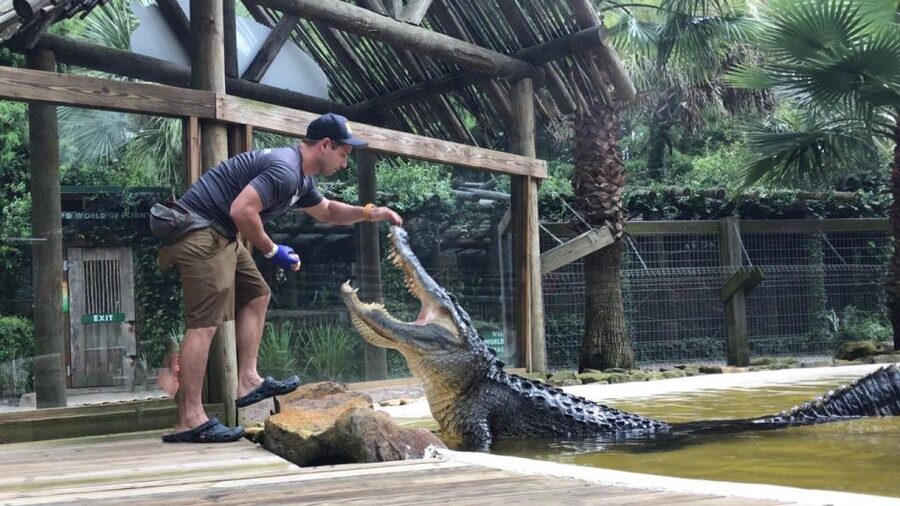 Orlando: Everglades Airboat Ride and Wildlife Park Ticket - What to Bring for a Comfortable Ride