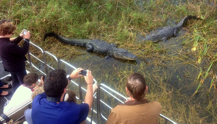 Orlando: Everglades Airboat Ride and Wildlife Park Ticket - Food, Views, and Extra Time at Wild Florida