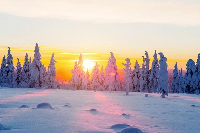 Ounasvaara and Ranua Zoo - Ranua Wildlife Park and its Arctic residents