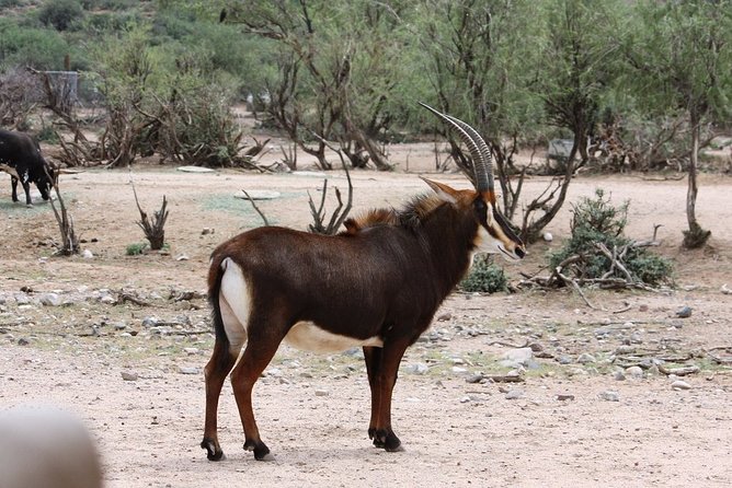Out of Africa Wildlife Park Admission Ticket - What Your General Admission Includes