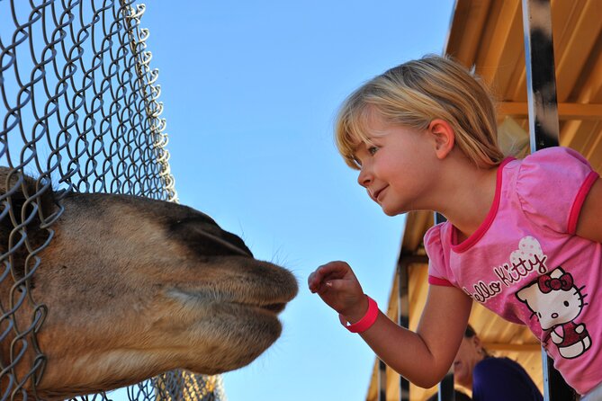 Out of Africa Wildlife Park Admission Ticket - Tiger Splash and Predator Feed