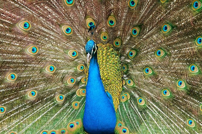 Pafos Zoo Ticket - Key points to know before you go